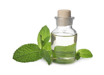 Bottle of essential oil and mint on white background