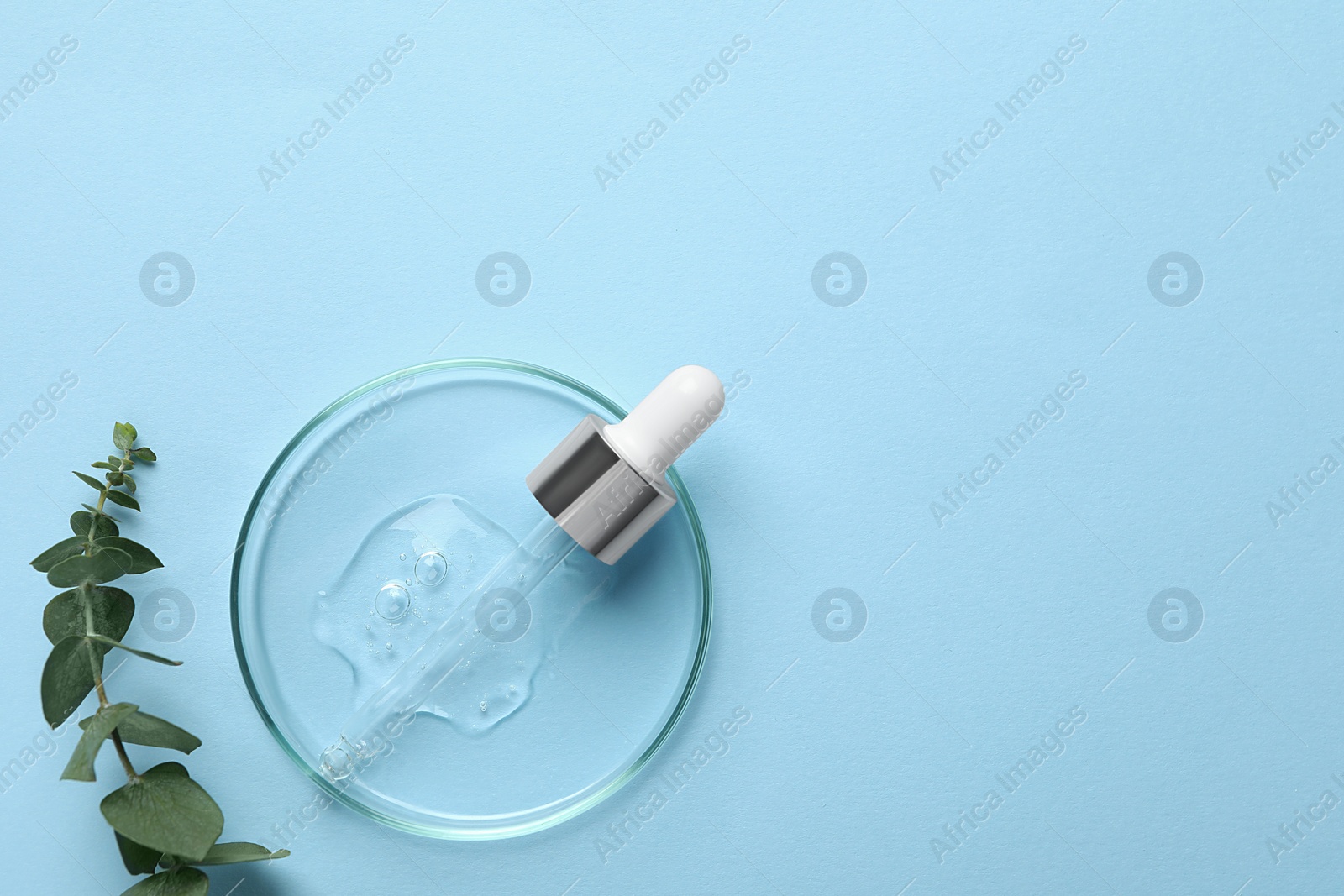 Photo of Petri dish with sample of cosmetic oil, pipette and eucalyptus branch on light blue background, flat lay. Space for text