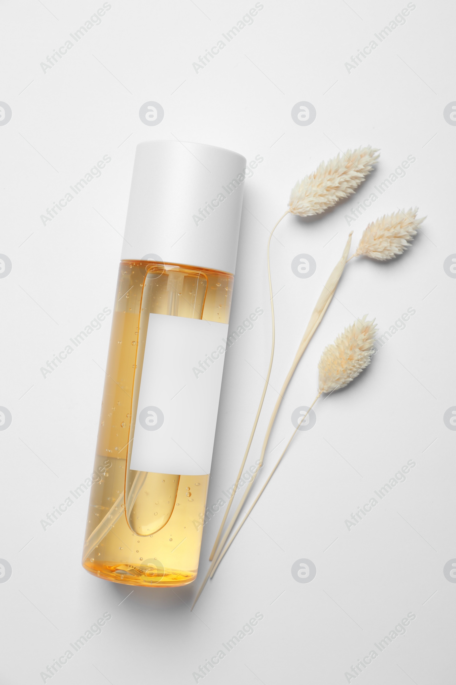 Photo of Bottle of cosmetic product and dry decorative spikes on white background, flat lay