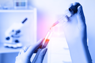 Image of Scientist dripping sample into test tube, closeup. Laboratory analysis