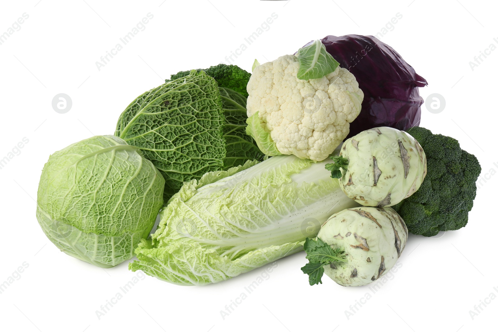 Photo of Many different fresh ripe cabbages on white background