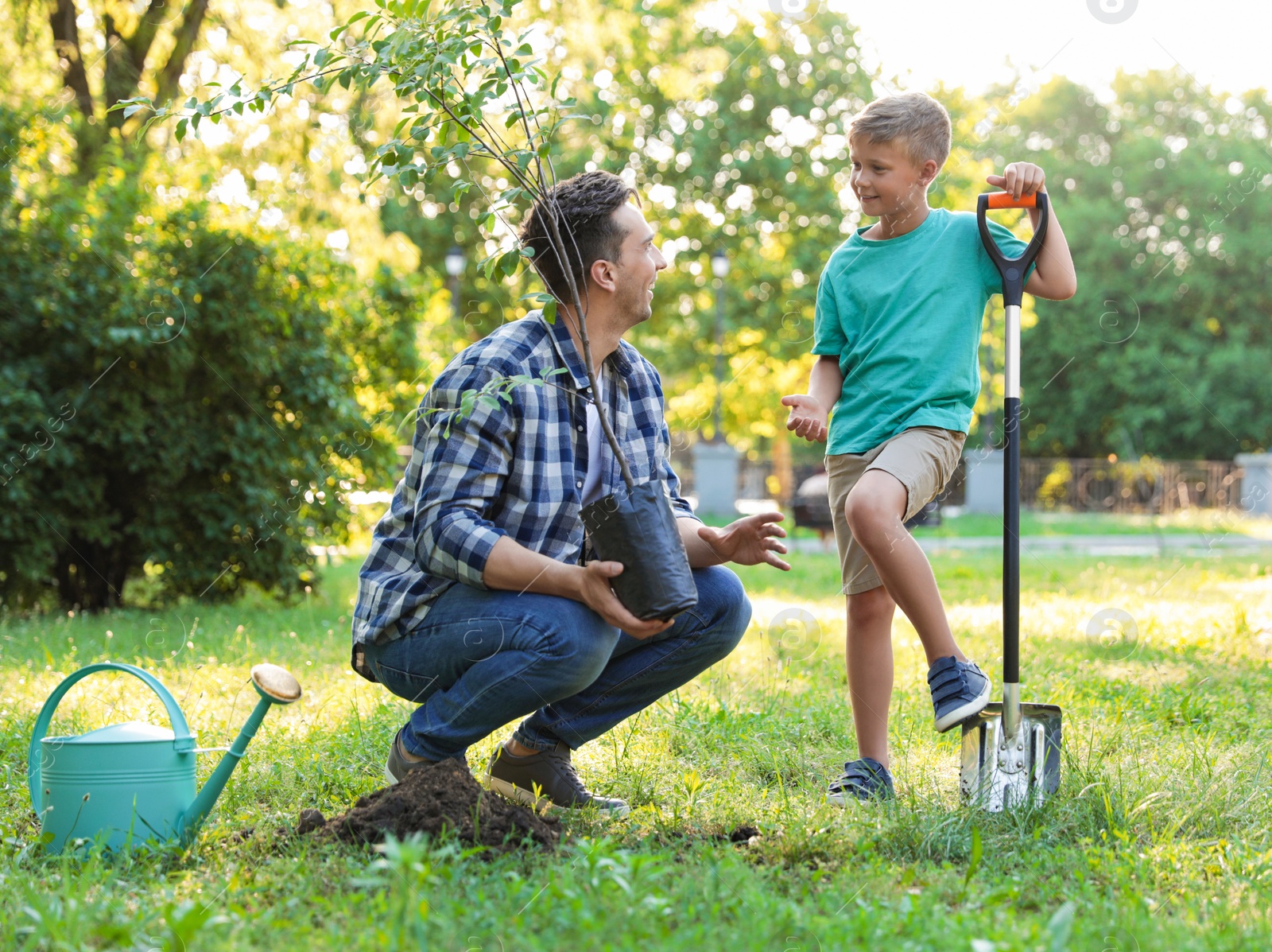 Photo of Dad and son planting tree in park on sunny day