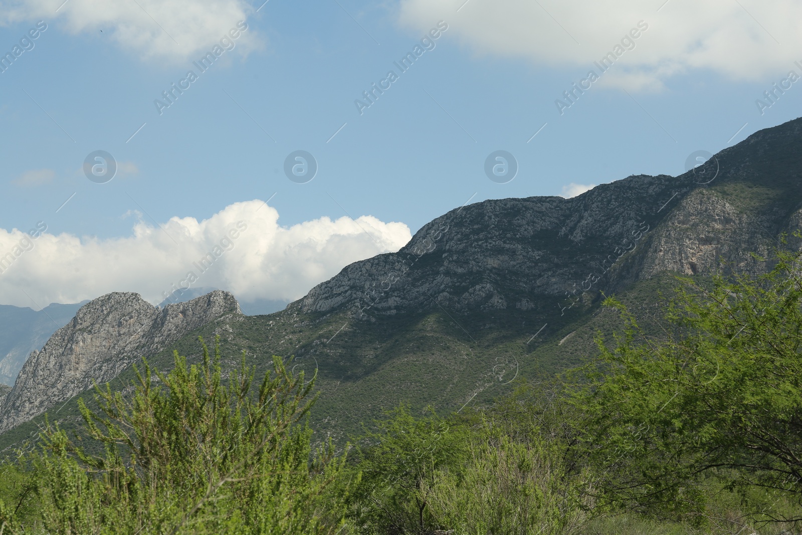 Photo of Picturesque view of beautiful mountains and plants under cloudy sky