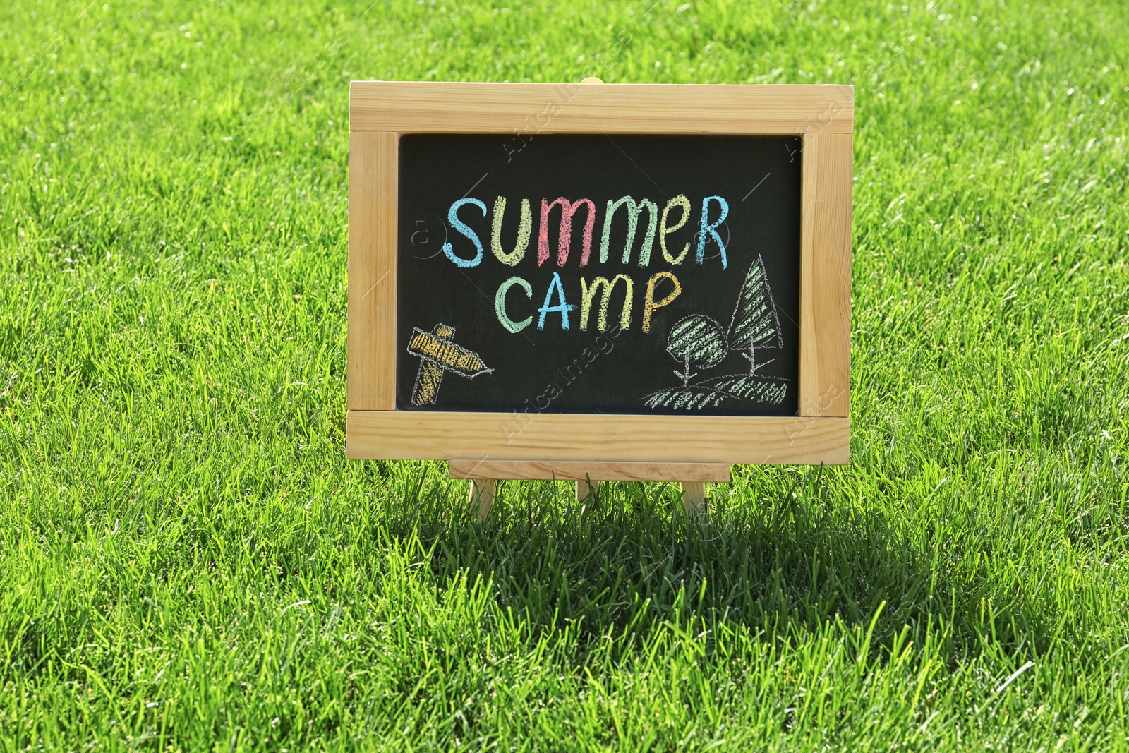 Photo of Blackboard with text SUMMER CAMP and drawings on green grass