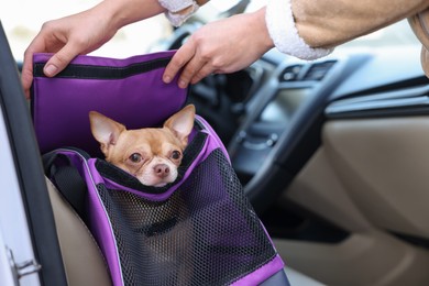 Photo of Owner transporting her dog, closeup. Chihuahua in pet carrier