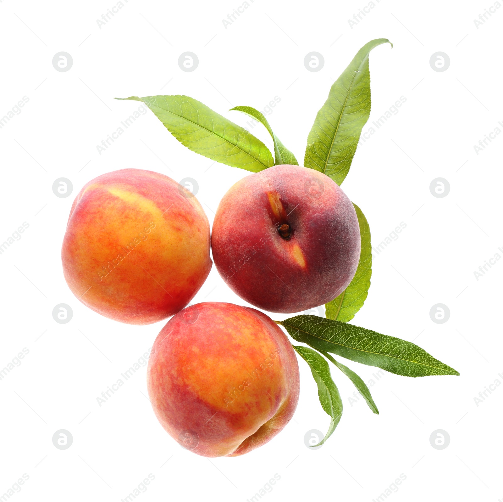 Photo of Delicious ripe juicy peaches with leaves isolated on white, top view