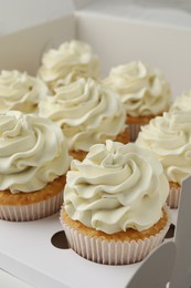 Photo of Tasty cupcakes with vanilla cream in box, closeup