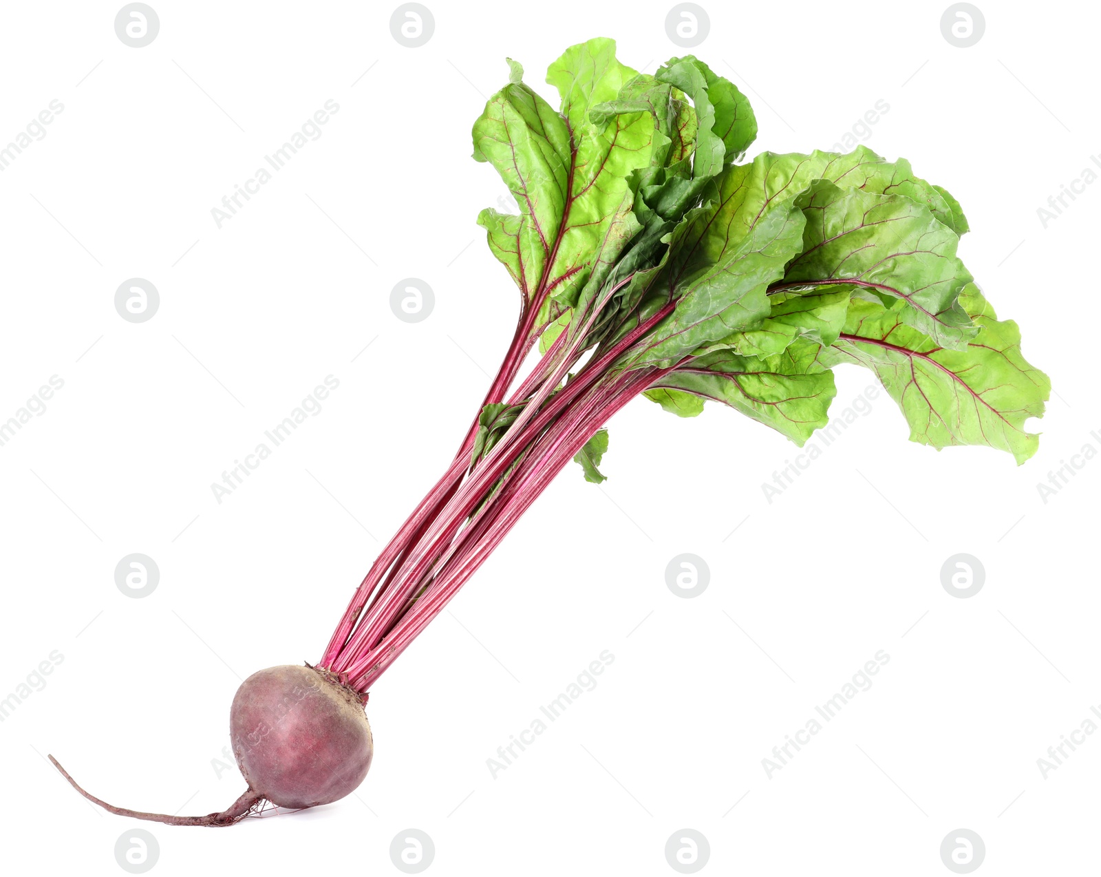 Photo of Raw ripe beet with leaves isolated on white