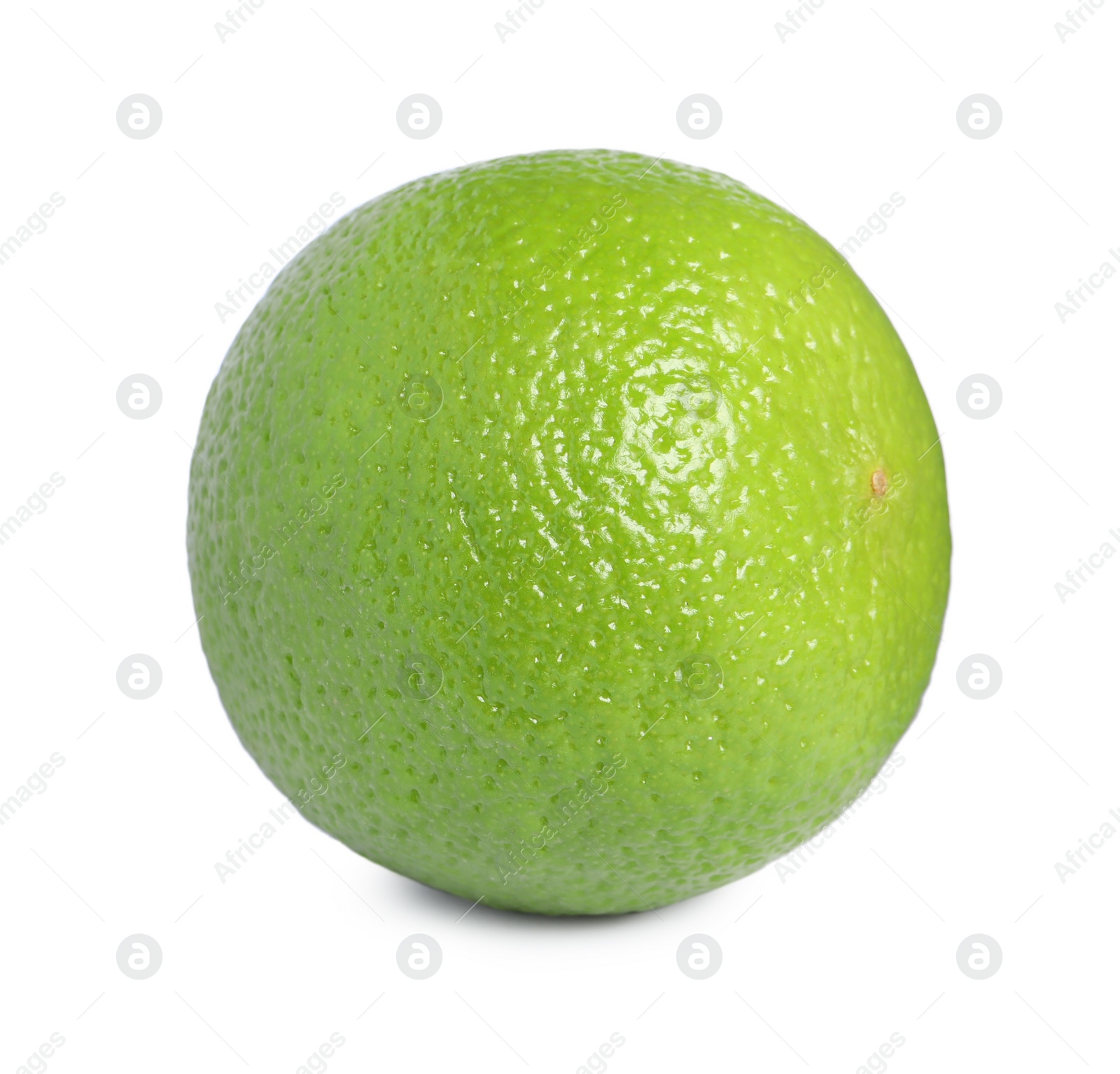 Photo of Citrus fruit. One fresh lime isolated on white