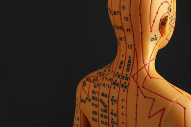 Acupuncture model. Mannequin with dots and lines on black background, space for text