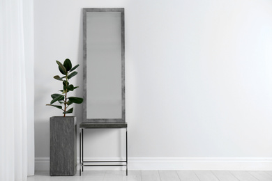 Modern interior with large mirror and beautiful plant near white wall. Space for text