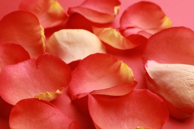 Photo of Beautiful fresh rose petals on coral background, closeup