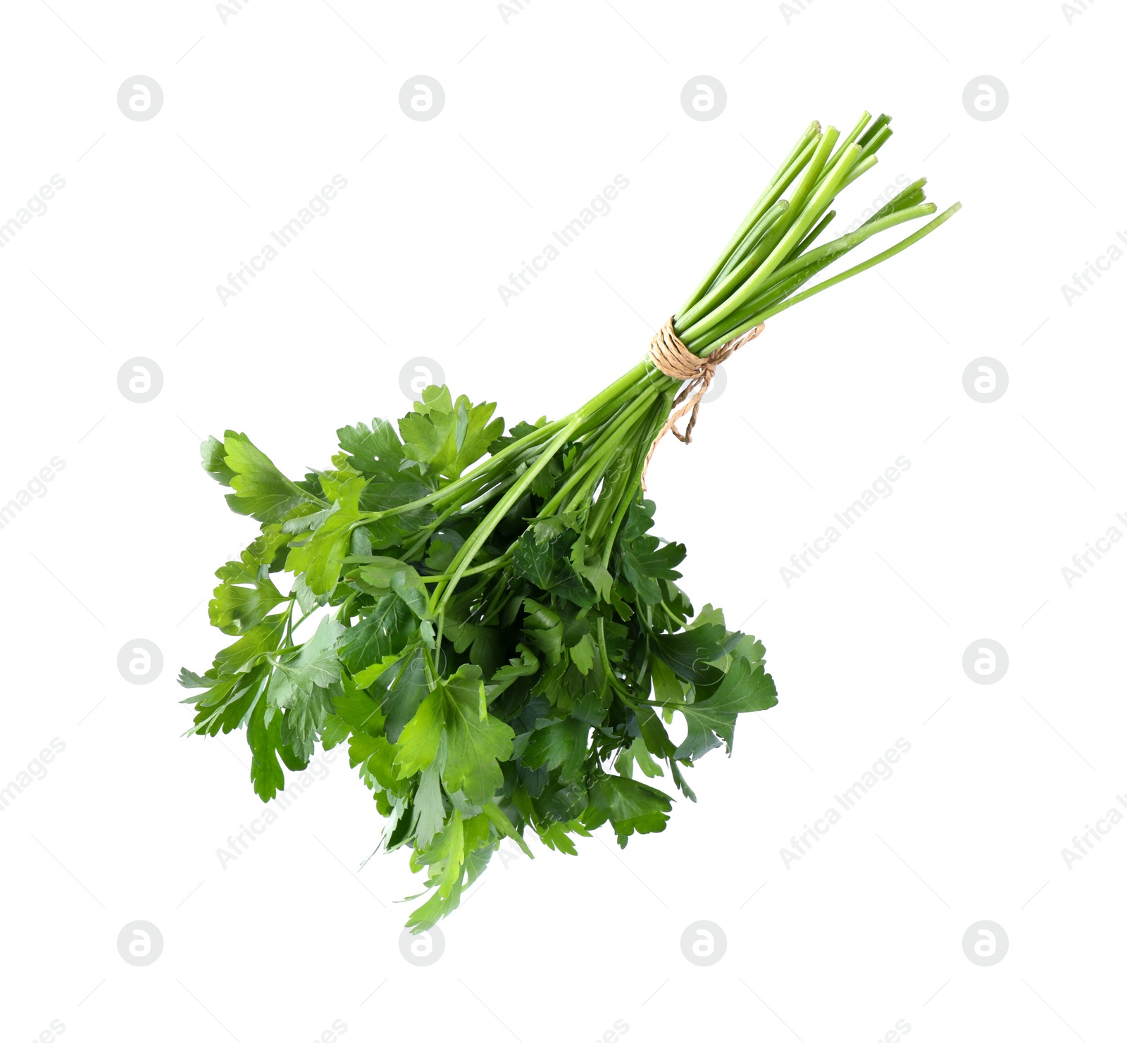 Photo of Bunch of fresh green parsley isolated on white