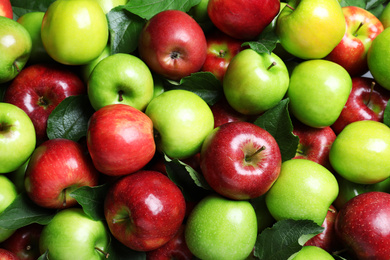 Photo of Pile of tasty ripe apples with leaves as background, top view