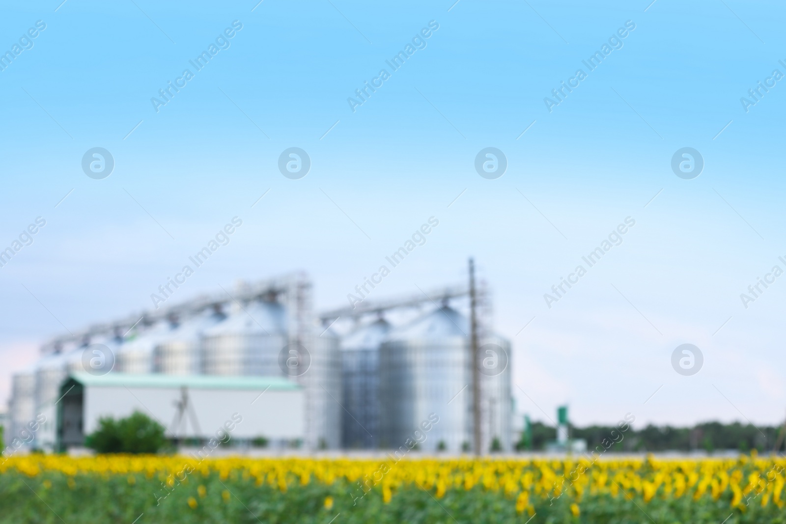 Photo of Blurred view of modern granaries for storing cereal grains in field