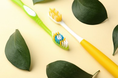 Different toothbrushes and green leaves on beige background, closeup