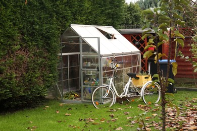 Beautiful lawn with fallen leaves, greenhouse and bicycle in backyard