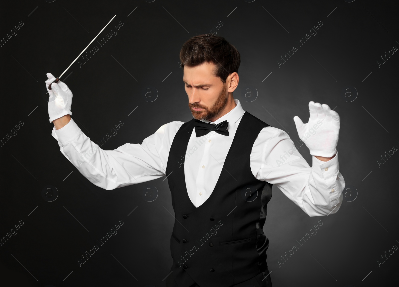 Photo of Professional conductor with baton on black background