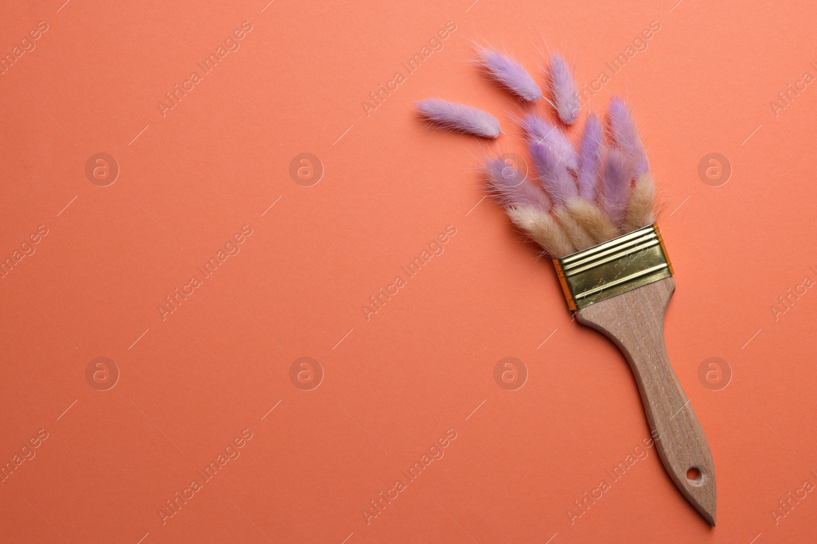 Photo of Creative flat lay composition with paint brush and fluffy wildflowers on coral background. Space for text