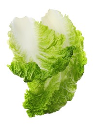 Photo of Leaves of Chinese cabbage on white background