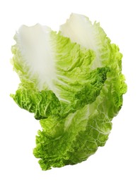 Leaves of Chinese cabbage on white background