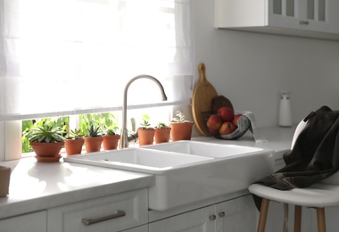 Different potted plants on window sill in kitchen