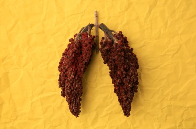 Photo of Human lungs made of sumac on yellow crumpled paper, flat lay