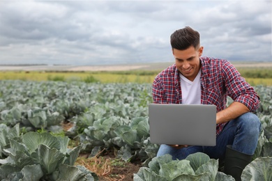 Photo of Man using laptop in field. Agriculture technology