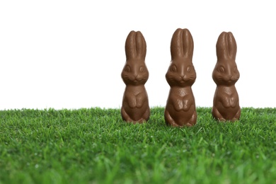 Chocolate bunnies on green grass against white background, space for text. Easter celebration