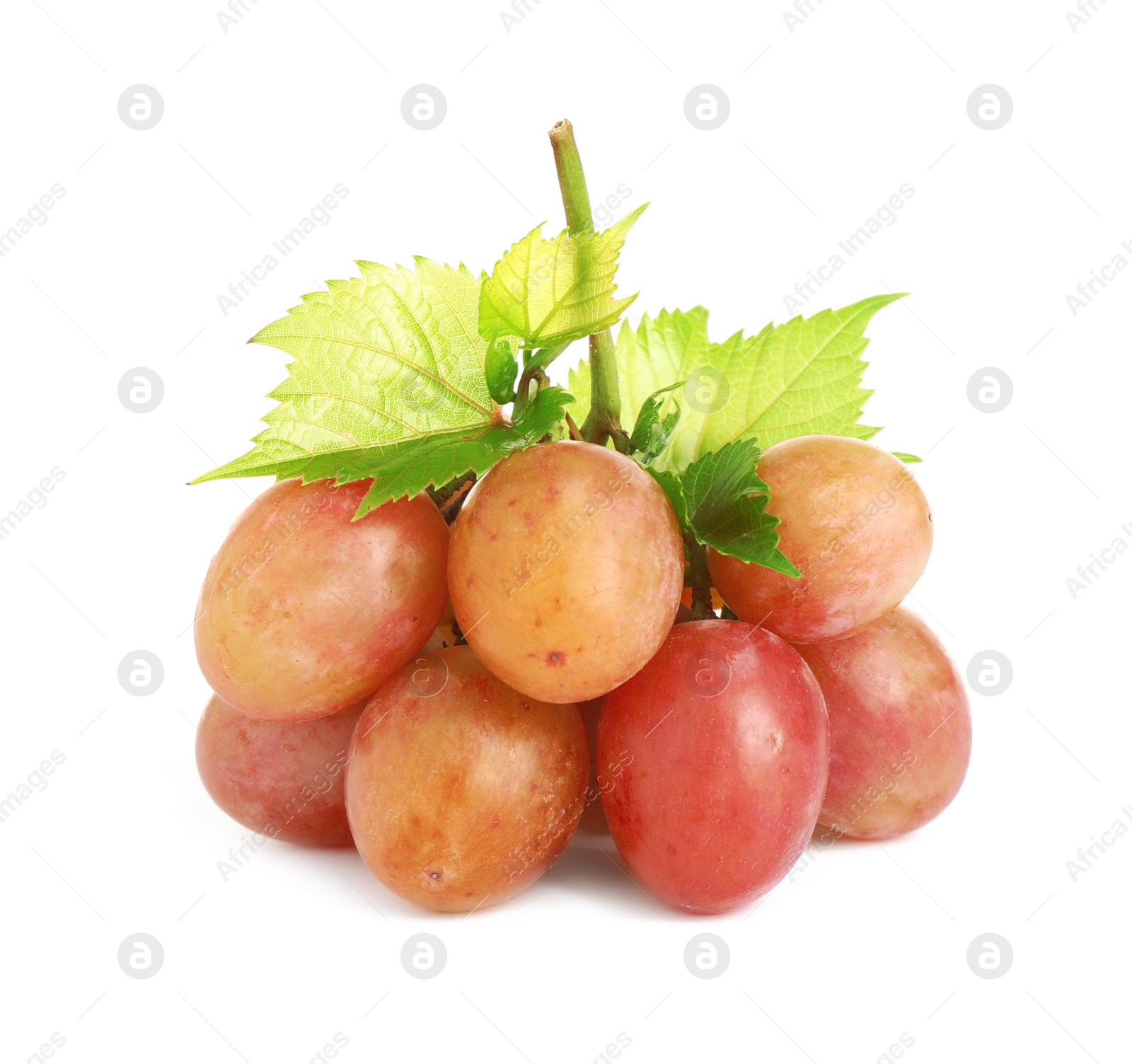 Photo of Fresh ripe juicy grapes isolated on white