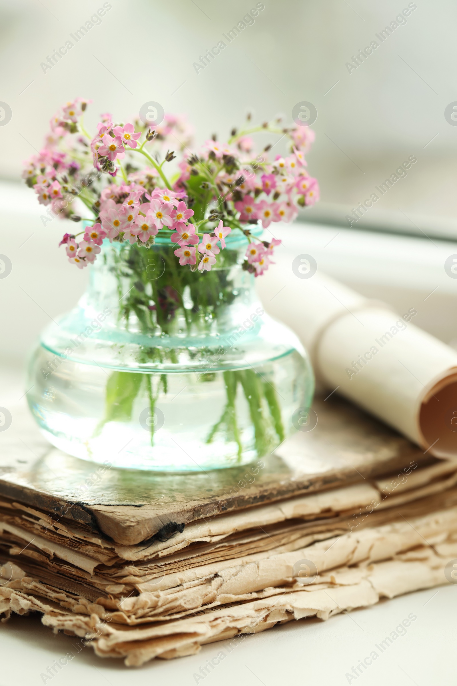 Photo of Beautiful Forget-me-not flowers and old book on window sill