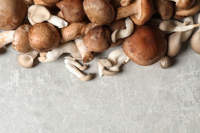 Photo of Heap of fresh wild mushrooms on light grey table, top view. Space for text