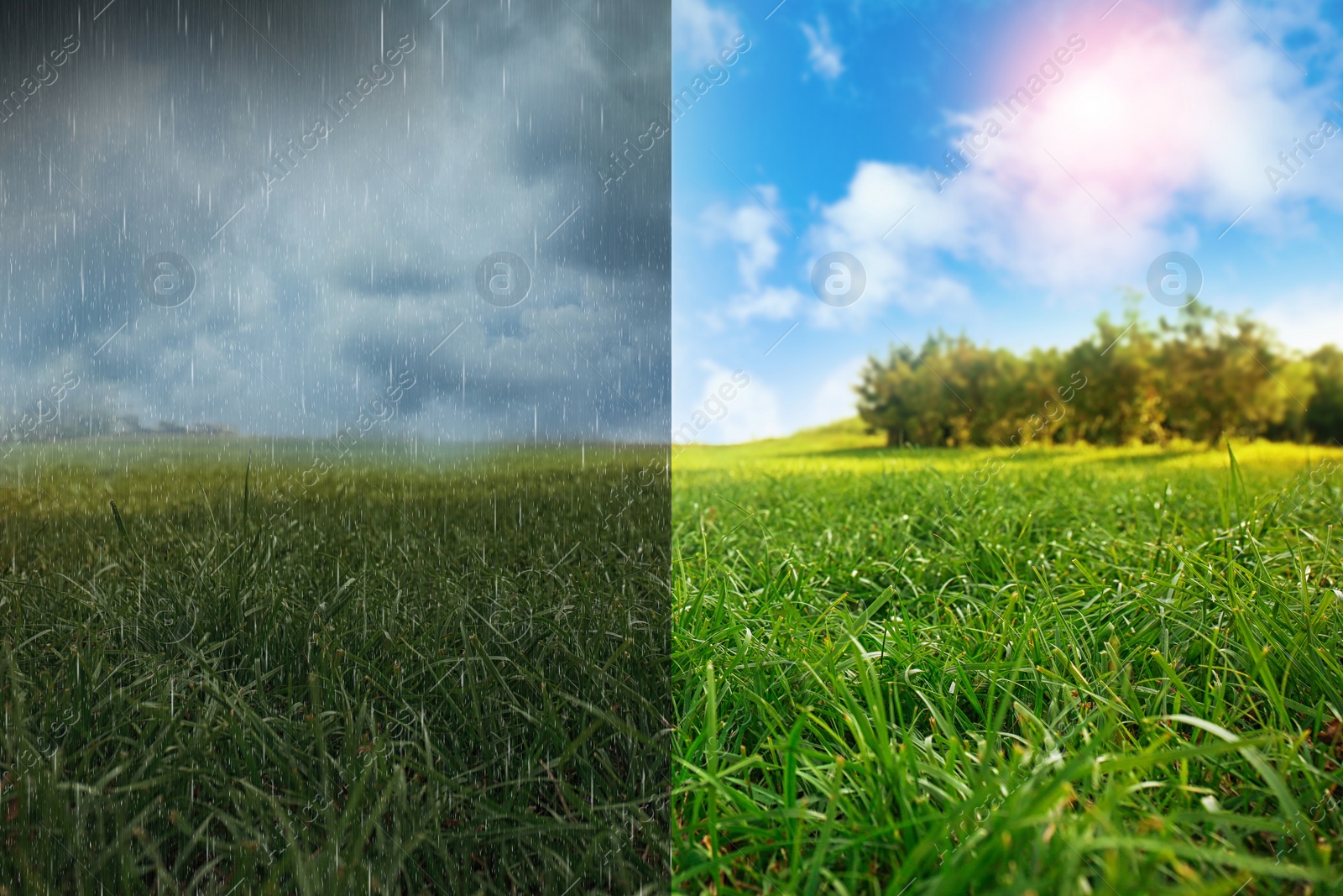 Image of Green field during sunny and stormy weather, collage