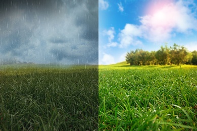 Image of Green field during sunny and stormy weather, collage