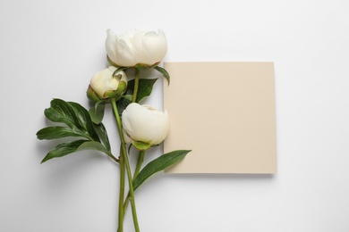 Fragrant peonies and blank card on white background, top view with space for text. Beautiful spring flowers