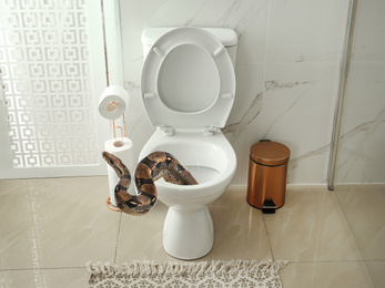 Image of Brown boa constrictor crawling out from toilet bowl in bathroom