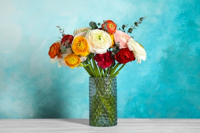 Vase with beautiful ranunculus flowers on table against color background