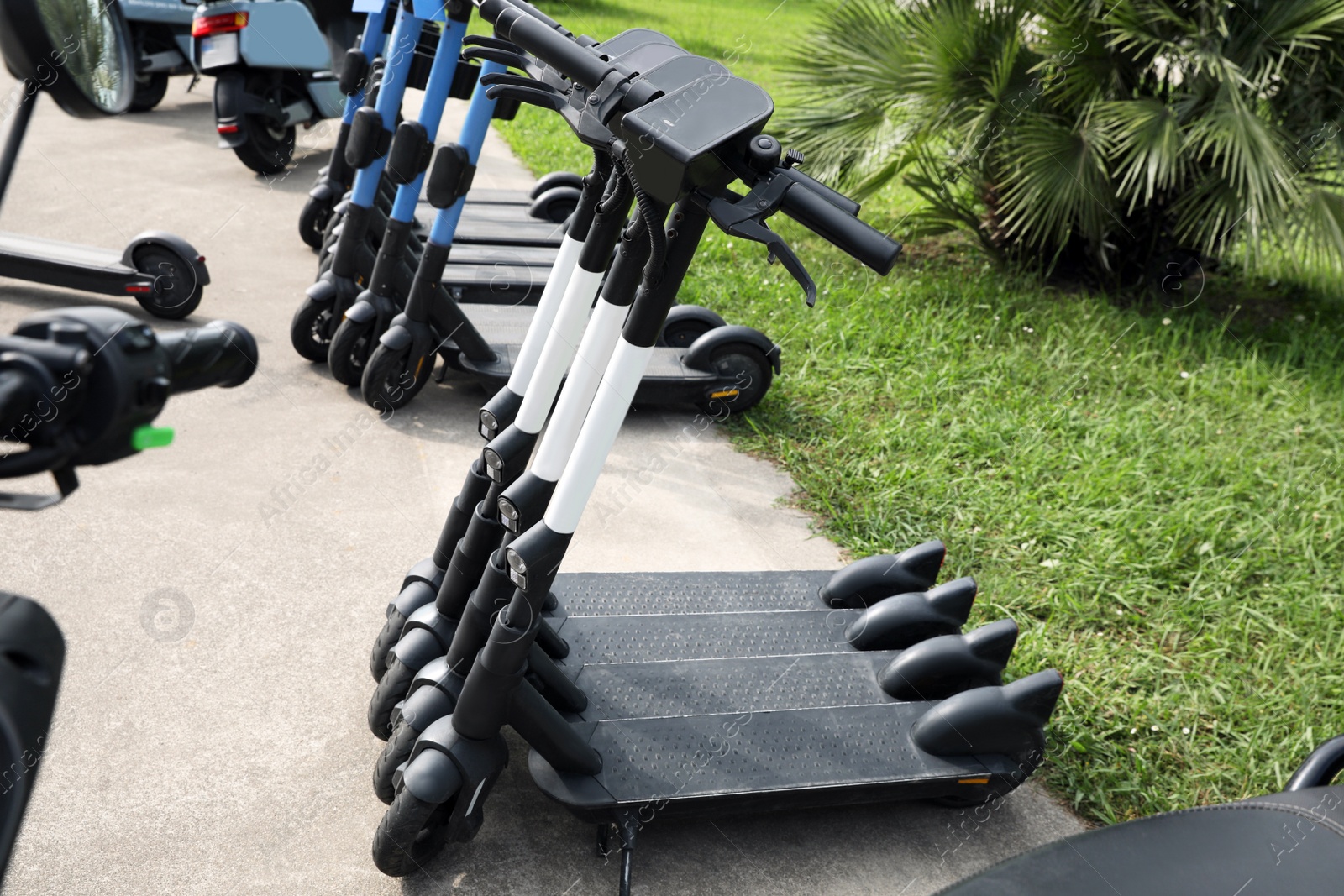 Photo of Row of electric scooters outdoors. Rental service