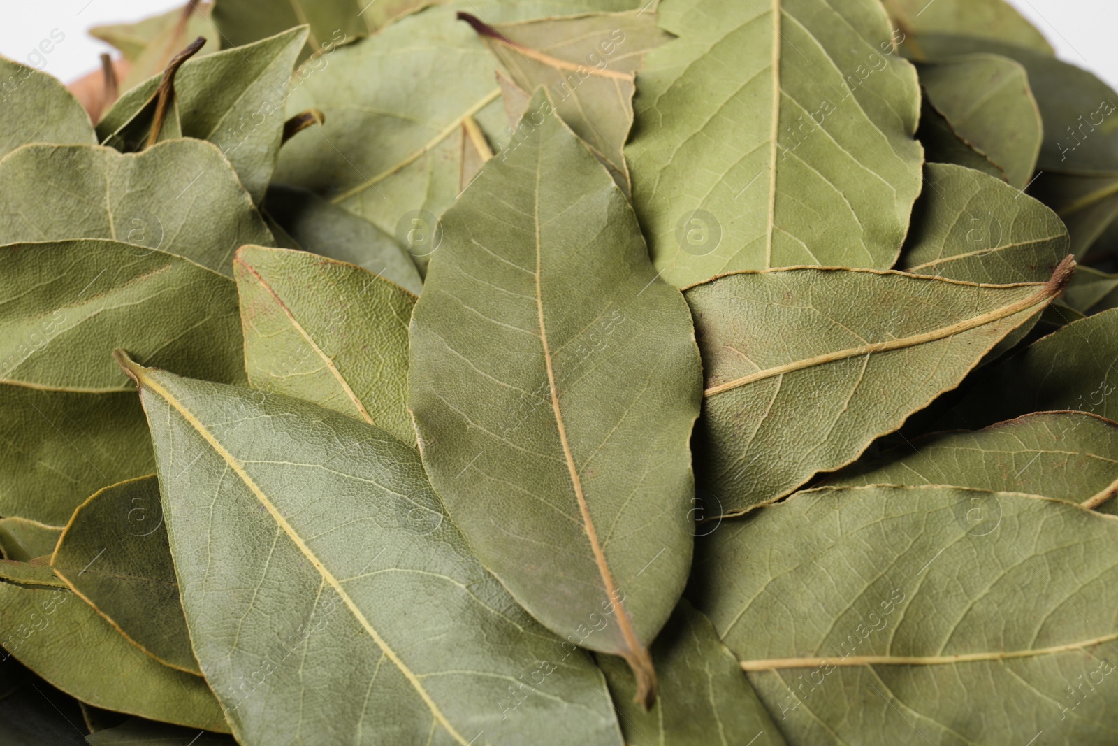 Photo of Aromatic bay leaves as background, closeup view