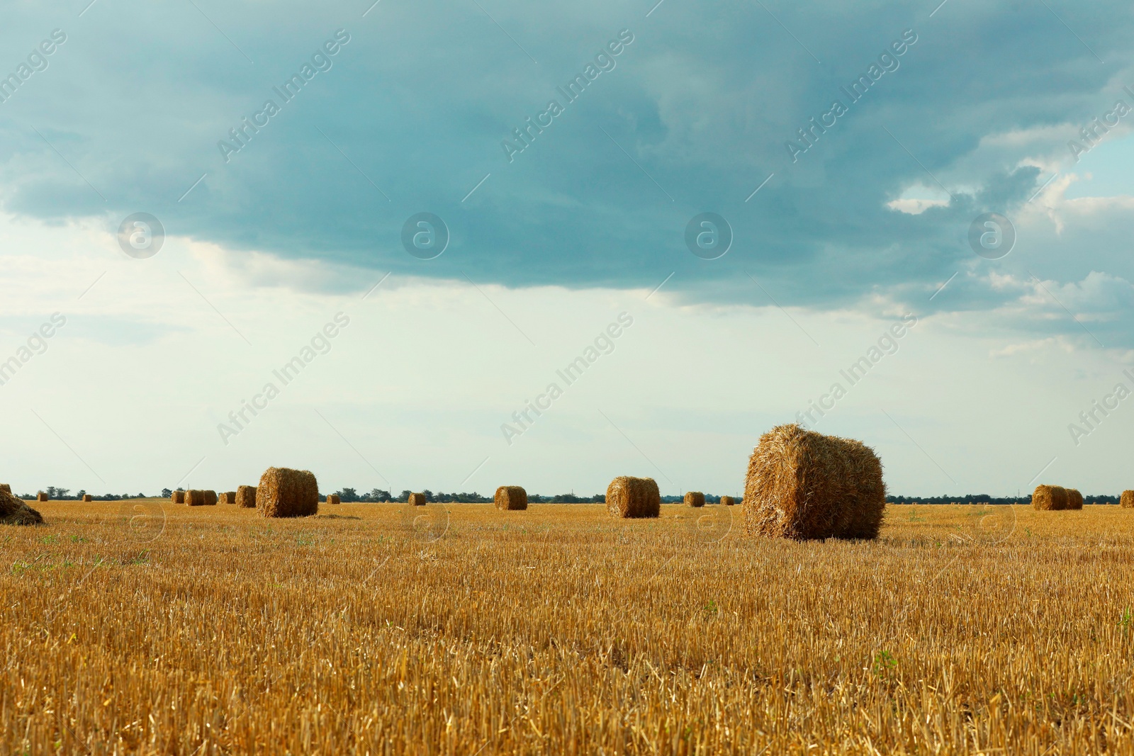 Photo of Beautiful view of agricultural field with hay bales