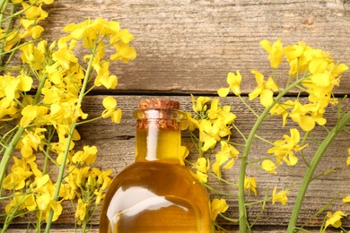 Photo of Rapeseed oil in glass bottle and beautiful yellow flowers on wooden table, flat lay