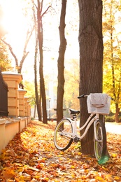 Photo of Modern bicycle near tree in autumn sunny park
