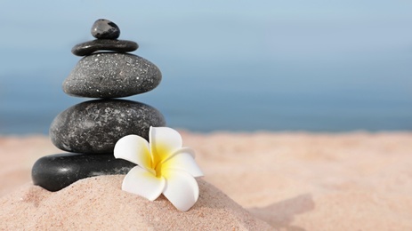 Photo of Stack of dark stones and flower on sand near sea, space for text. Zen concept