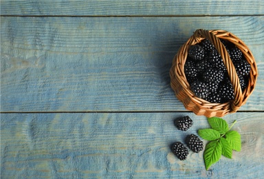 Wicker basket of tasty blackberries and leaves on blue wooden table, flat lay. Space for text