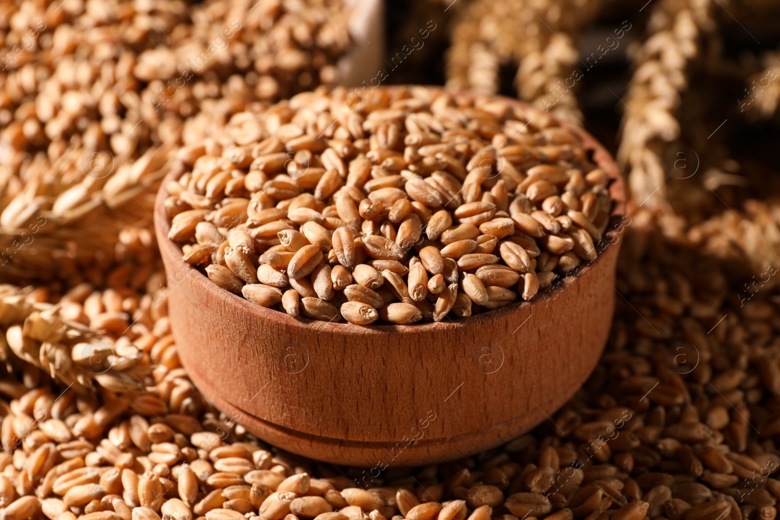 Photo of Closeup view of bowl and wheat grains