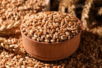 Photo of Closeup view of bowl and wheat grains