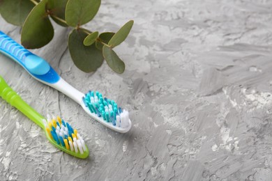 Different toothbrushes and eucalyptus branch on grey textured table, closeup. Space for text