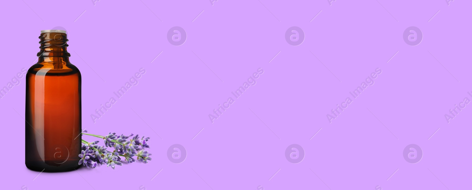 Image of Bottle of lavender essential oil and flowers on violet background, space for text. Banner design