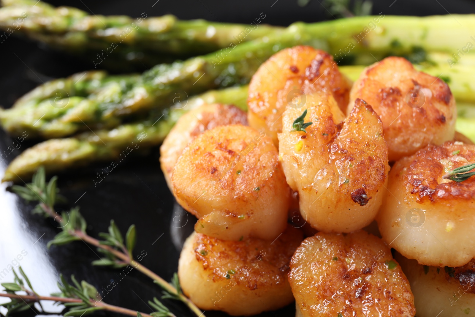 Photo of Delicious fried scallops with asparagus and thyme on plate, closeup