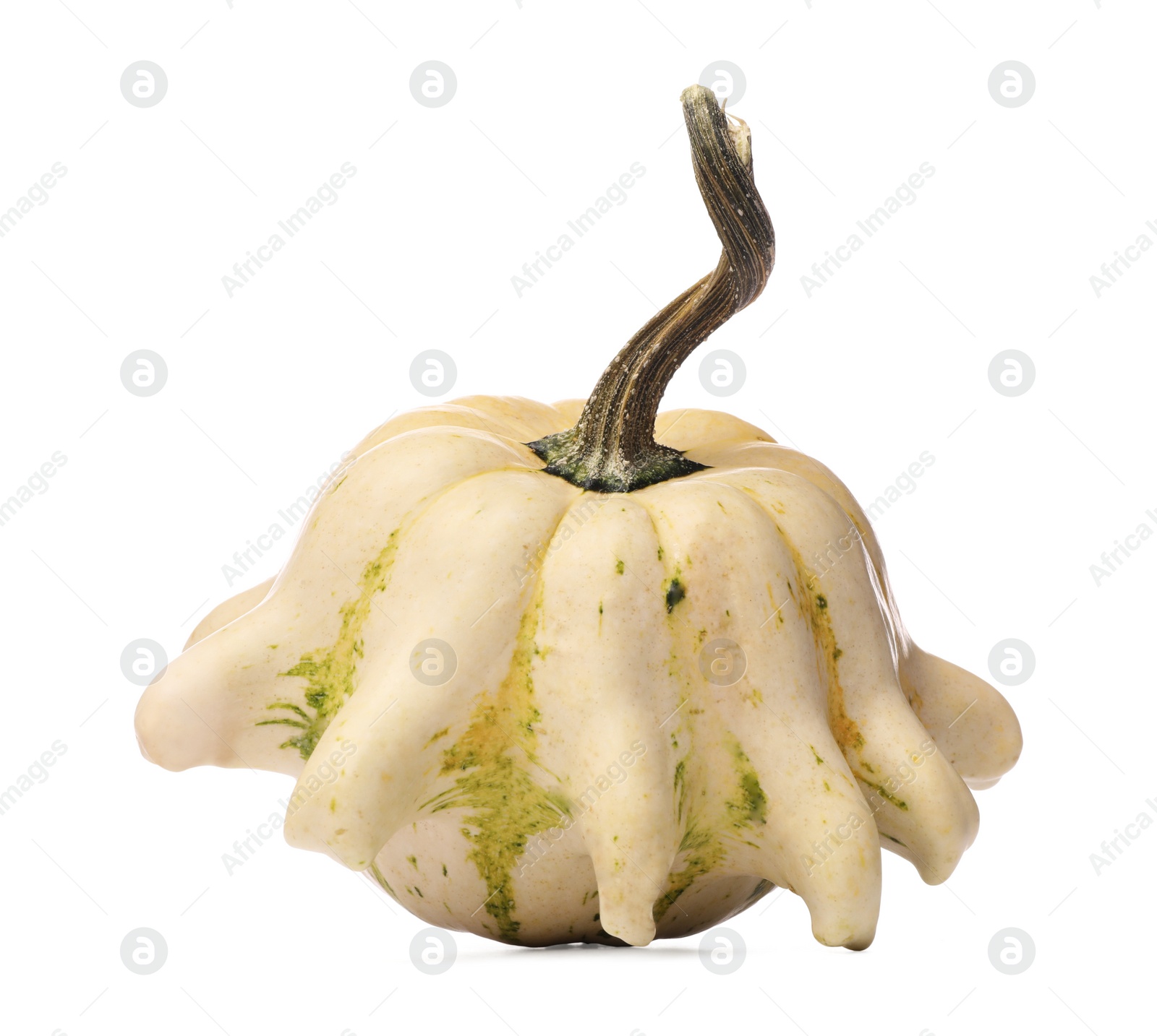 Photo of One fresh ripe pumpkin isolated on white